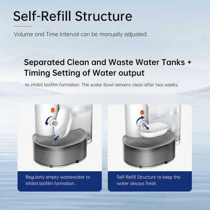 SlurpiCat™ – Fresh Water, Every Slurp